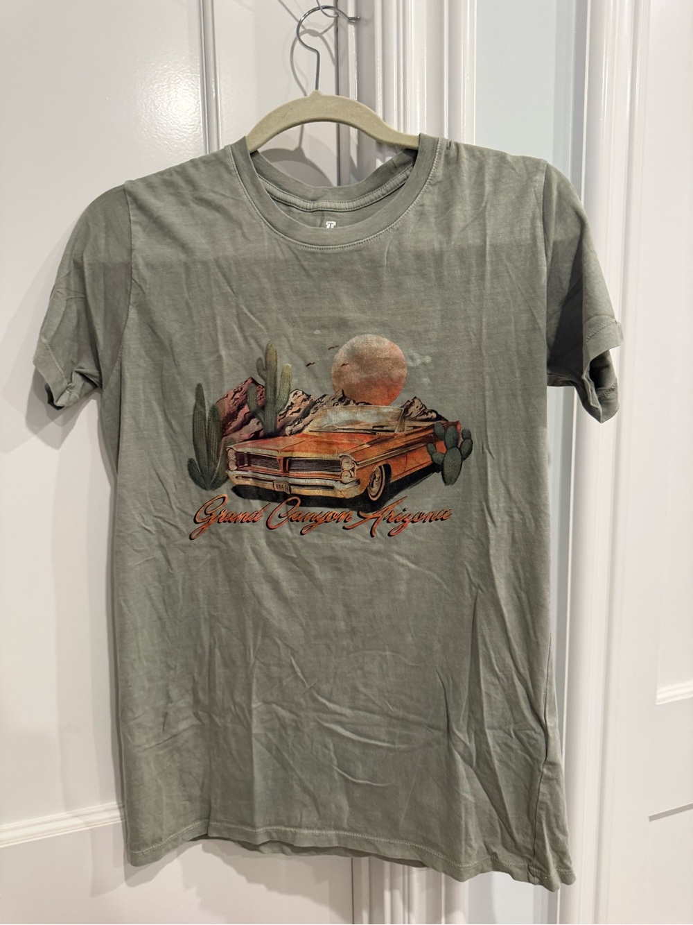 Desert Graphic Tee in Sage Green